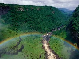 Kaieteur Falls Rainforest, Guyana © Staffan Widstrand / WWF